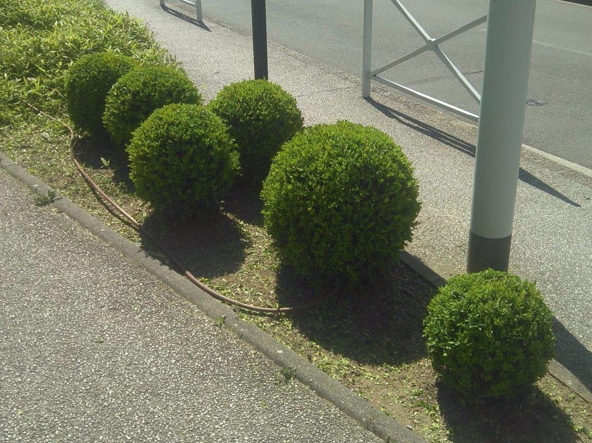 Entretien jardin Maumusson, Entretien jardin Ancenis